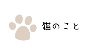 ねこの記事